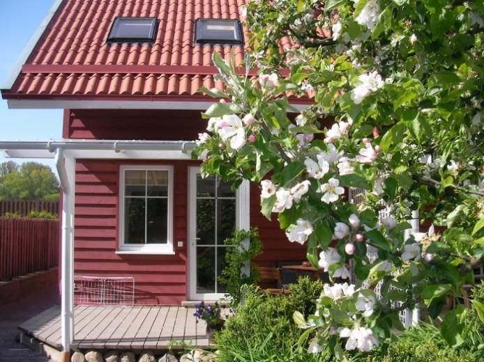 Apartamentai Obelyne Palanga Exterior photo